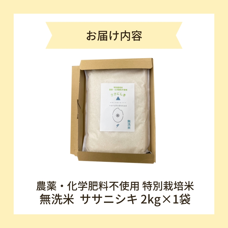 【令和6年産新米予約】栽培期間中 農薬・化学肥料不使用【無洗米】特別栽培米ササニシキ2kg×1