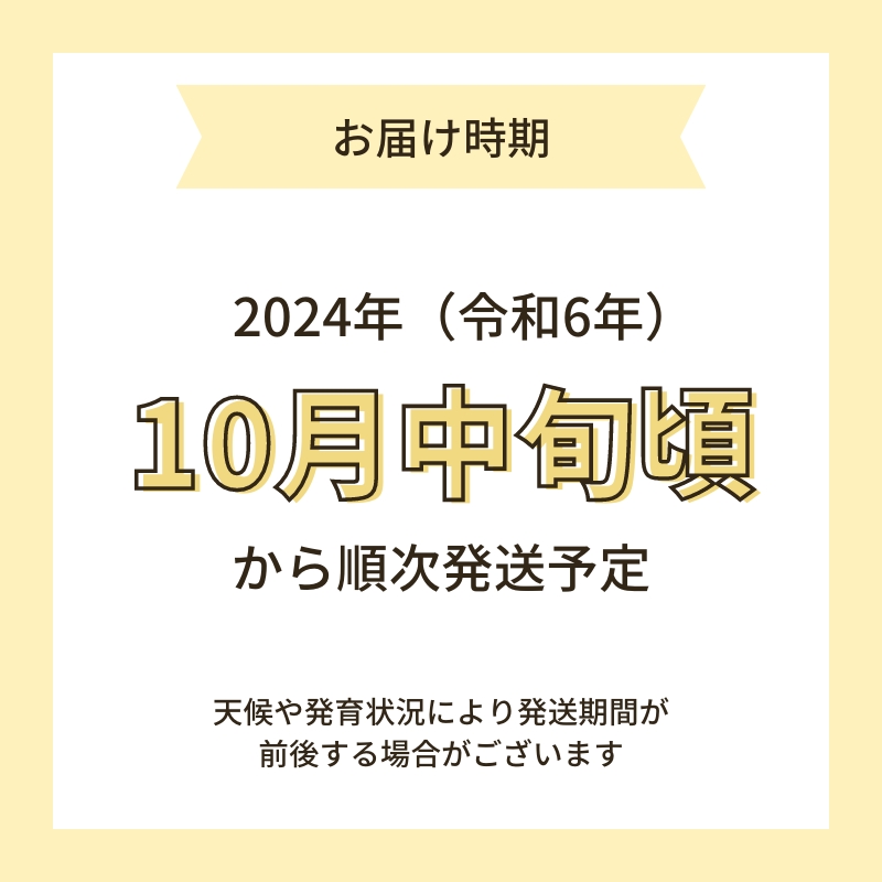 【令和6年産新米予約】栽培期間中 農薬・化学肥料不使用【無洗米】特別栽培米ササニシキ2kg×1