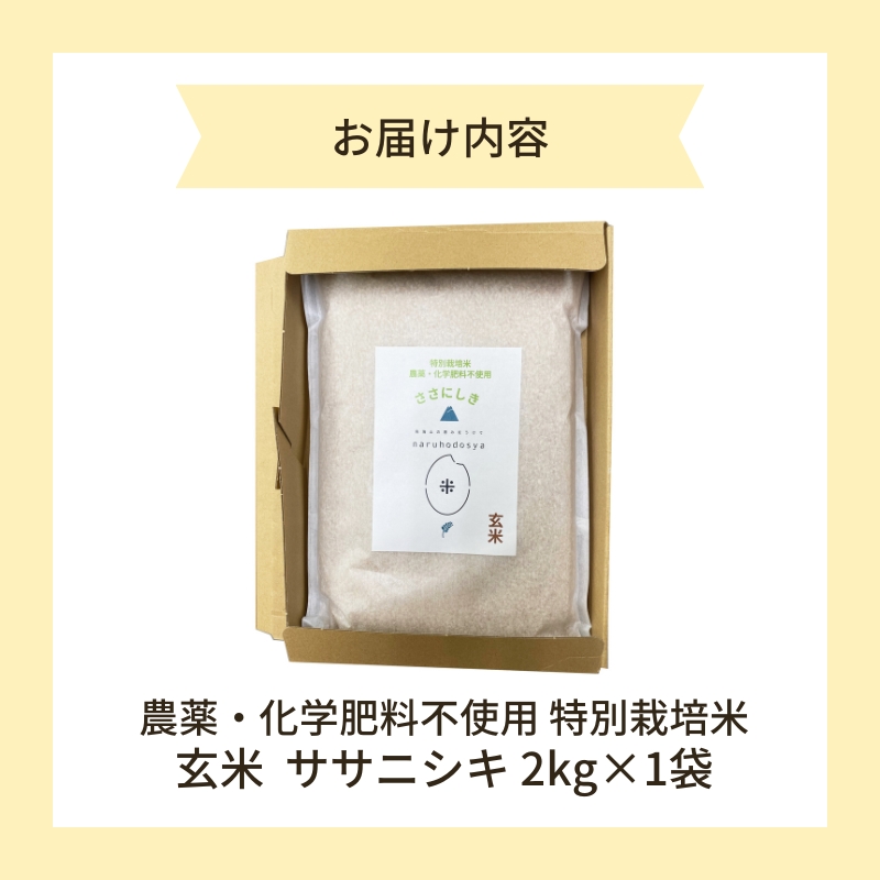 令和6年産新米予約】栽培期間中 農薬・化学肥料不使用【玄米】特別栽培米ササニシキ2kg×1 - ふるさとパレット ～東急グループのふるさと納税～