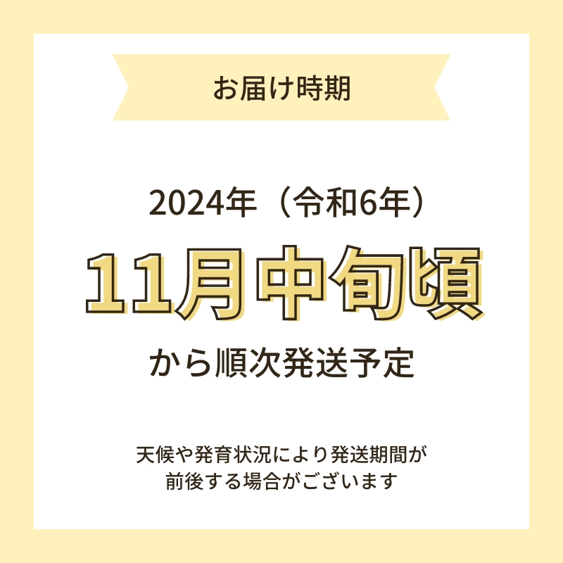 【令和6年産新米予約】栽培期間中 農薬・化学肥料不使用【玄米】特別栽培米ササニシキ2kg×1