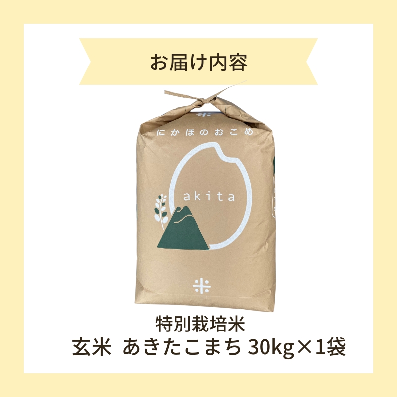 【令和6年産新米予約】【玄米】特別栽培米あきたこまち30kg×1