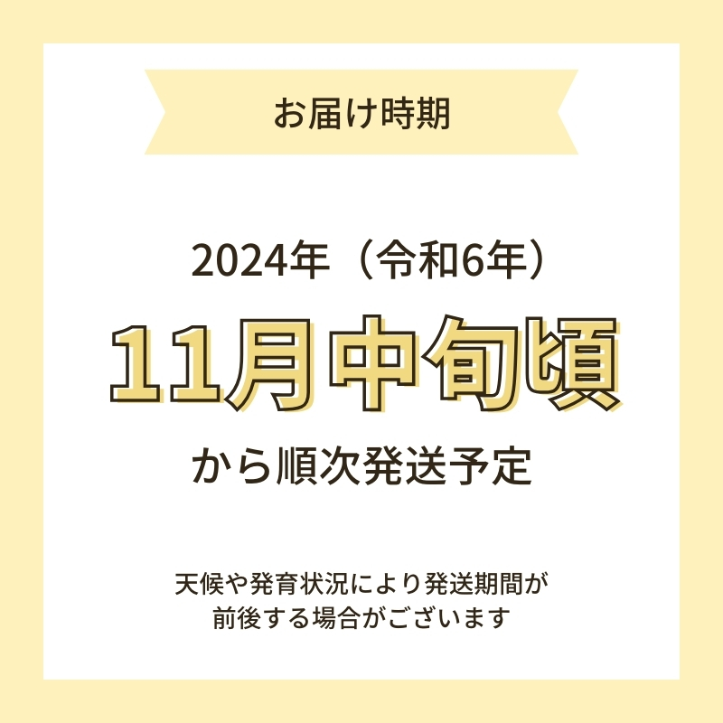 【令和6年産新米予約】【玄米】特別栽培米あきたこまち30kg×1