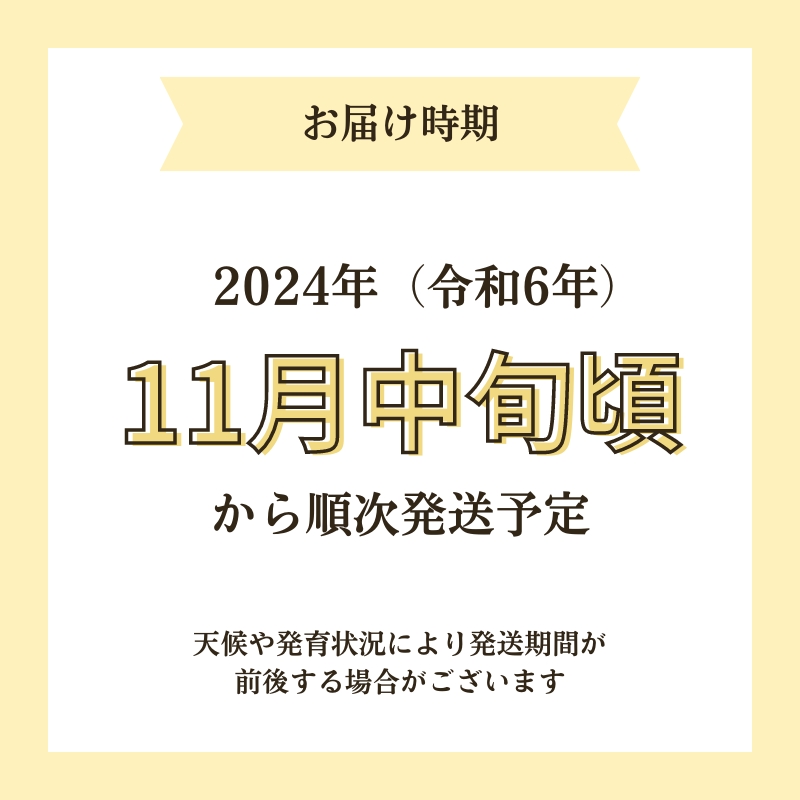 【令和6年産新米予約】【玄米】特別栽培米サキホコレ30kg×1