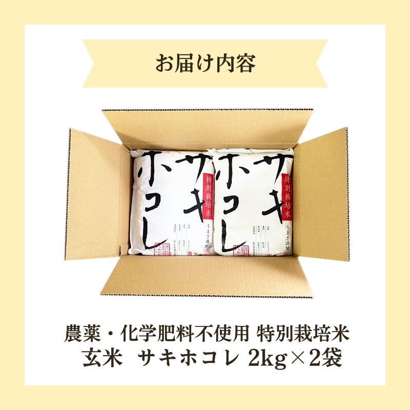 【令和6年産新米予約】栽培期間中 農薬・化学肥料不使用【玄米】特別栽培米サキホコレ4kg（2kg×2）