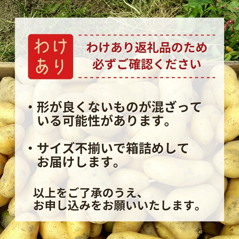 わけあり じゃがいも  メークイン 約2kg サイズ不揃い