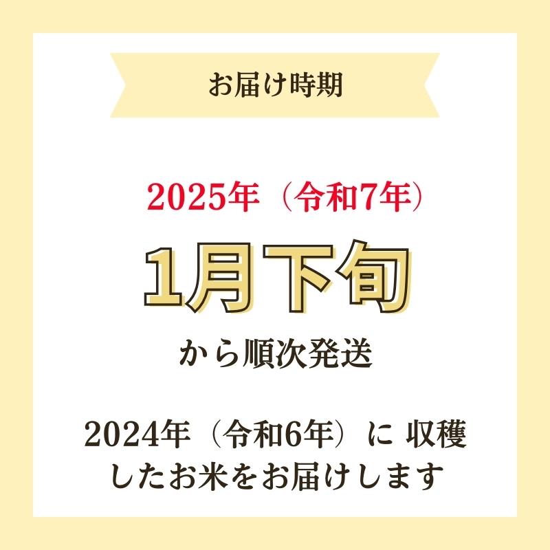 【令和6年産新米予約】<9ヵ月定期便>【無洗米】特別栽培米サキホコレ5kg×9回 合計45kg