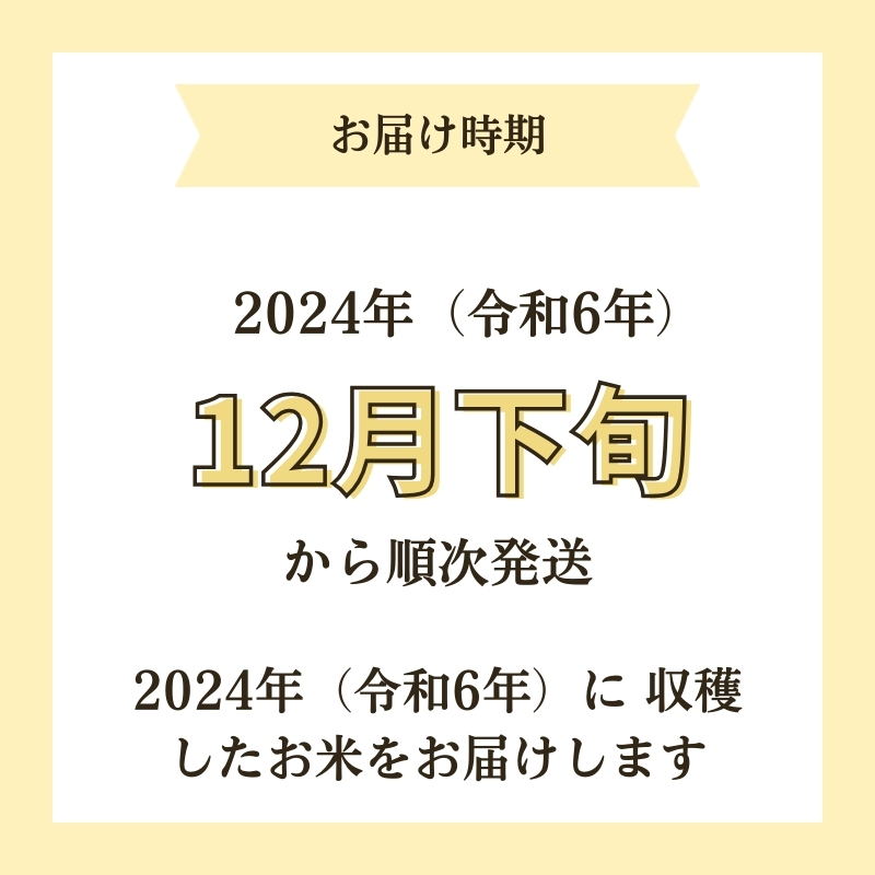 【令和6年産新米予約】<10ヵ月定期便>【無洗米】特別栽培米サキホコレ5kg×10回 合計50kg