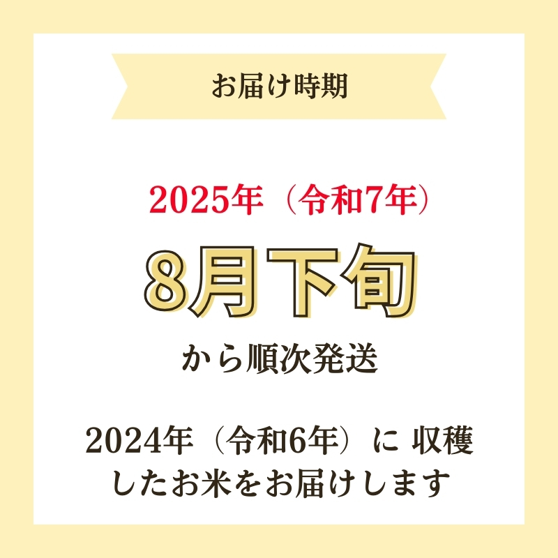 【令和6年産新米予約】<2ヵ月定期便>【無洗米】特別栽培米サキホコレ5kg×2回 合計10kg