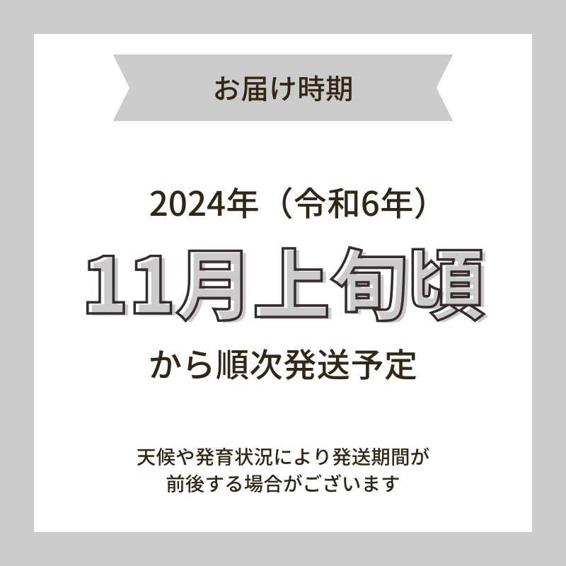 令和6年産 新米 11月から発送 特別栽培米 恋の舞 ササニシキ にかほ 玄米 5kg