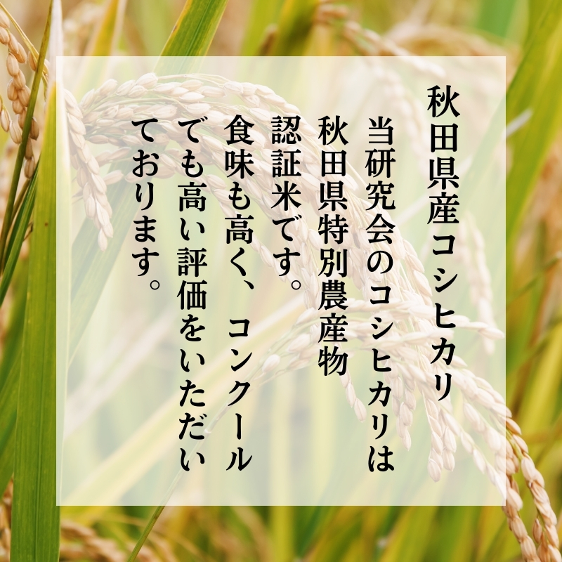 《定期便》令和6年産 新米 11月から発送 特別栽培米 鰰米 コシヒカリ にかほ 精米 5kg 12ヶ月連続お届け 計60kg