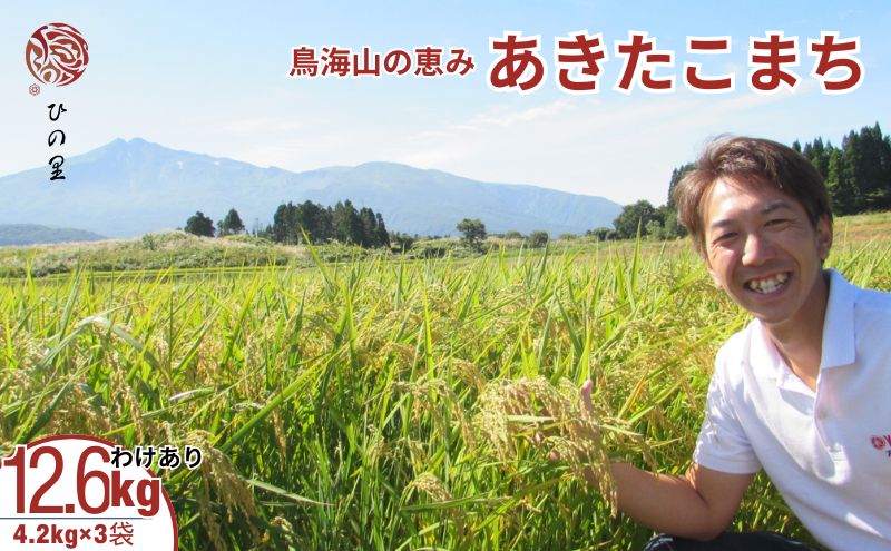 《訳あり》鳥海山の恵み！秋田県産 あきたこまち 精米 12.6kg（4.2kg×3袋）神宿る里の米「ひの米」（お米 小分け）