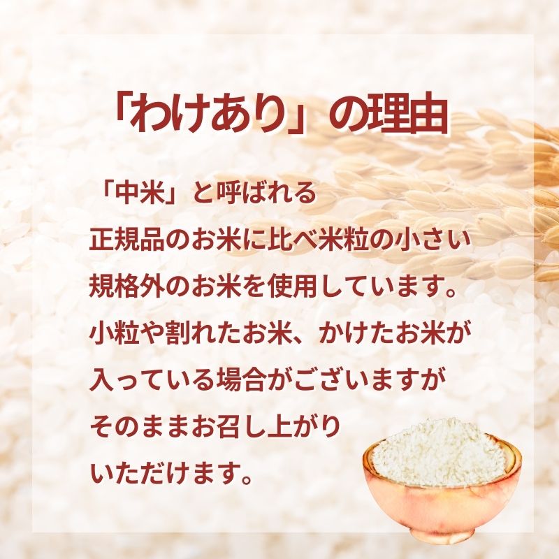 《訳あり》鳥海山の恵み！秋田県産 あきたこまち 精米 12.6kg（4.2kg×3袋）神宿る里の米「ひの米」（お米 小分け）