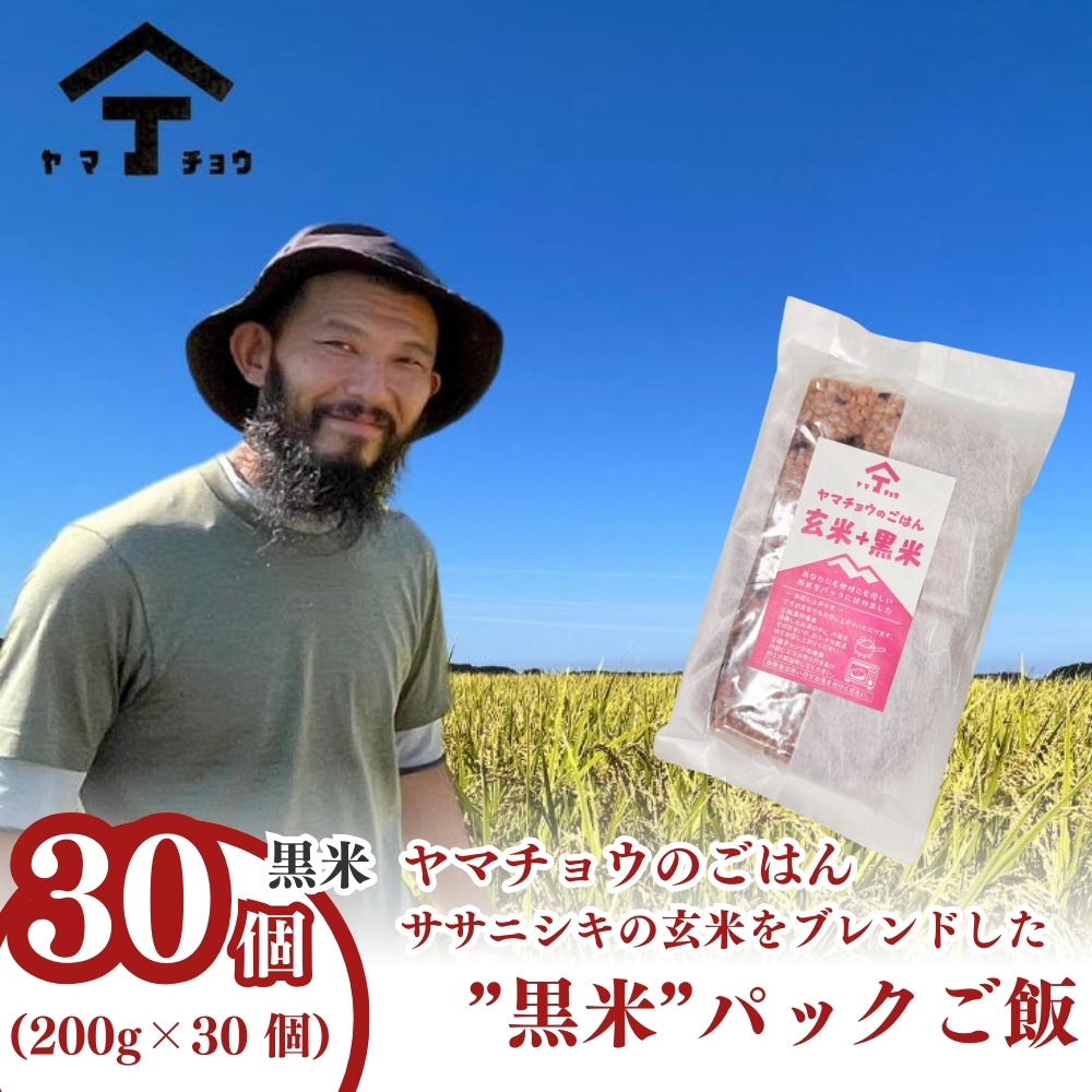 ヤマチョウのごはん パックご飯 玄米 黒米ブレンドごはん 200g×30個セット 秋田県産