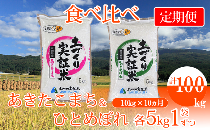 10ヵ月 定期便 米10kg 各5kg 10回 あきたこまち ひとめぼれ 食べ比べ 計100kg ふるさとパレット 東急グループのふるさと納税