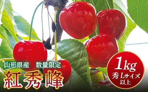 FYN9-257 《2025年先行予約》山形県産 さくらんぼ 紅秀峰 1kg(500g×2) 秀 L以上 バラパック詰め 2025年6月中旬から順次発送 果実 果物くだもの フルーツ 桜桃 サクランボ 化粧箱 贈り物 ギフト 贈答用 家庭用 自宅用 産地直送 山形県 西川町 月山