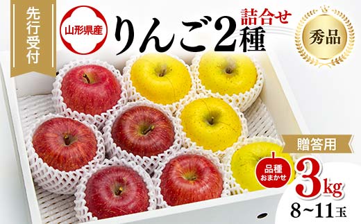 FYN9-966 ≪先行予約≫ 贈答用 2024年 山形県産 りんご 品種おまかせ 2種詰合せ 秀品 3kg（8～11玉）2024年10月中旬から順次発送 2色 赤・黄 食べ比べ セット フルーツ 果物 りんご リンゴ 山形県 西川町 月山