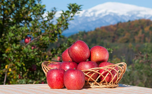 FYN9-688 《先行予約》2024年 山形県産 高徳 りんご 約2kg（6～12玉）2024年10月下旬頃から順次発送 くだもの 果物 フルーツ 秋果実 リンゴ 林檎 小玉 蜜 ギフト 化粧箱 産地直送 山形県 西川町 月山