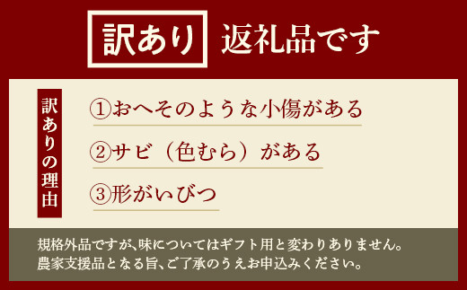 FYN9-598 〈先行予約〉 【農家支援品】《訳あり品･ご家庭用》 山形県産ラ・フランス 5kg 2023年11月上旬発送 生産者支援 洋ナシ 洋梨 フルーツ 果物