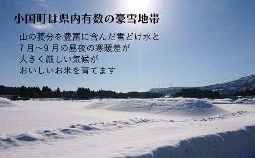 （令和５年産）山形県小国町産 特別栽培米つや姫5kg