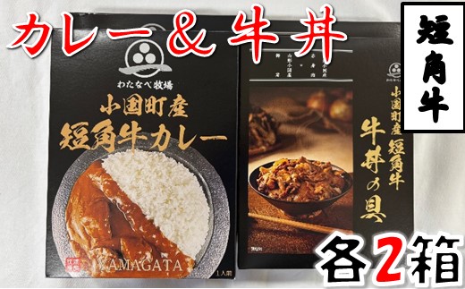 短角牛カレー・短角牛牛丼の具　各2箱　計4箱