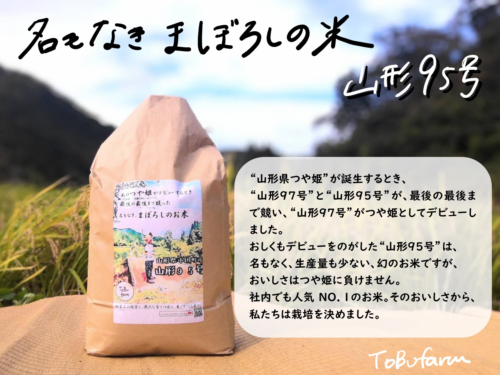 山形県小国町産　つや姫･雪若丸･山形95号　山形ブランド食べ比べセット（各5kg）