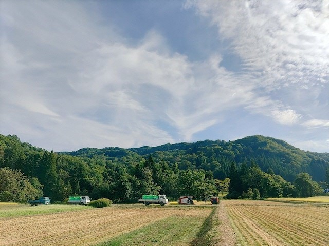 【令和６年新米  先行予約】　山形県小国町産　雪若丸・5kg