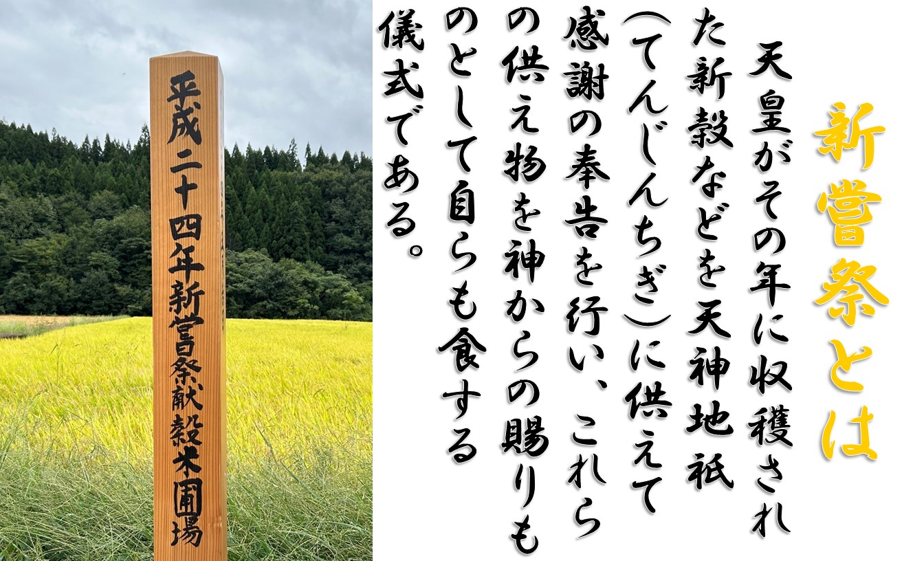 【3回定期便】つや姫5kg　安心安全なおぐに木酢米　〜新嘗祭献穀農家の米〜