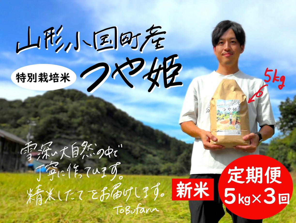 【3回定期便】山形県小国町産　つや姫・5kg