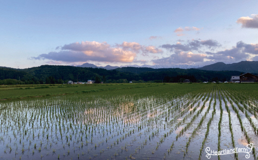 （令和５年産） 山形県小国町産　つや姫 雪若丸 食べ比べセット 4kg（2kg×2袋）