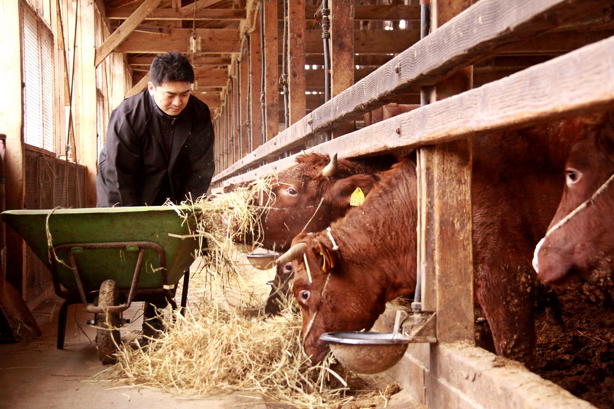 『牛道八段セット』　米沢牛サイコロステーキ200ｇ＋短角牛サーロインステーキ450ｇ