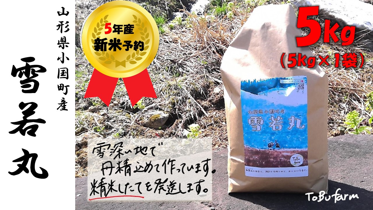 【令和６年新米  先行予約】　山形県小国町産　雪若丸・5kg