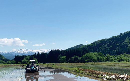 （令和５年産） 山形県小国町産　つや姫 雪若丸 食べ比べセット 4kg（2kg×2袋）