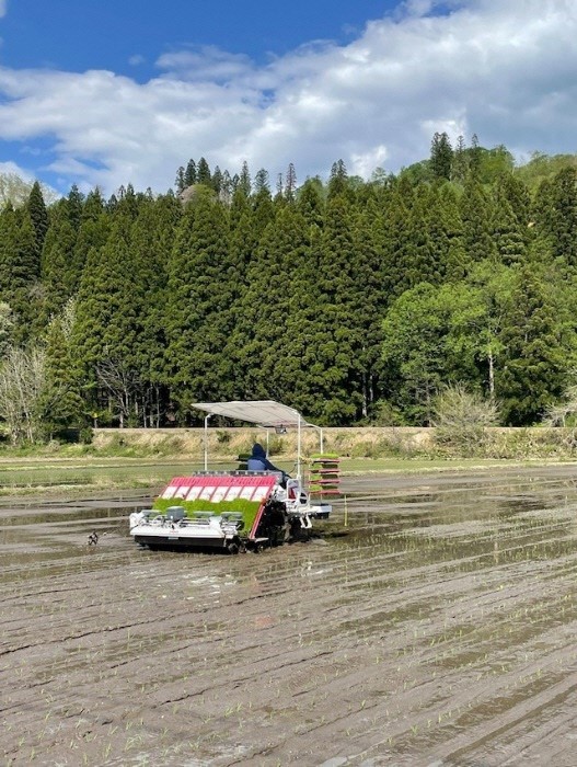 【令和６年新米  先行予約】　山形県小国町産　雪若丸・5kg