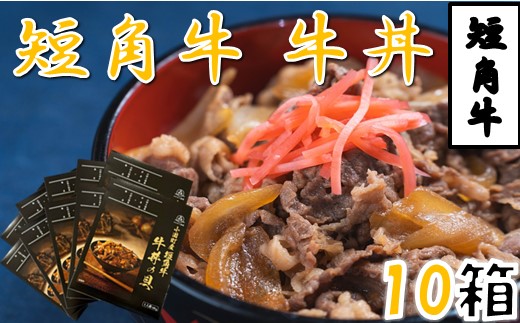 短角牛牛丼の具（1人前×10箱）