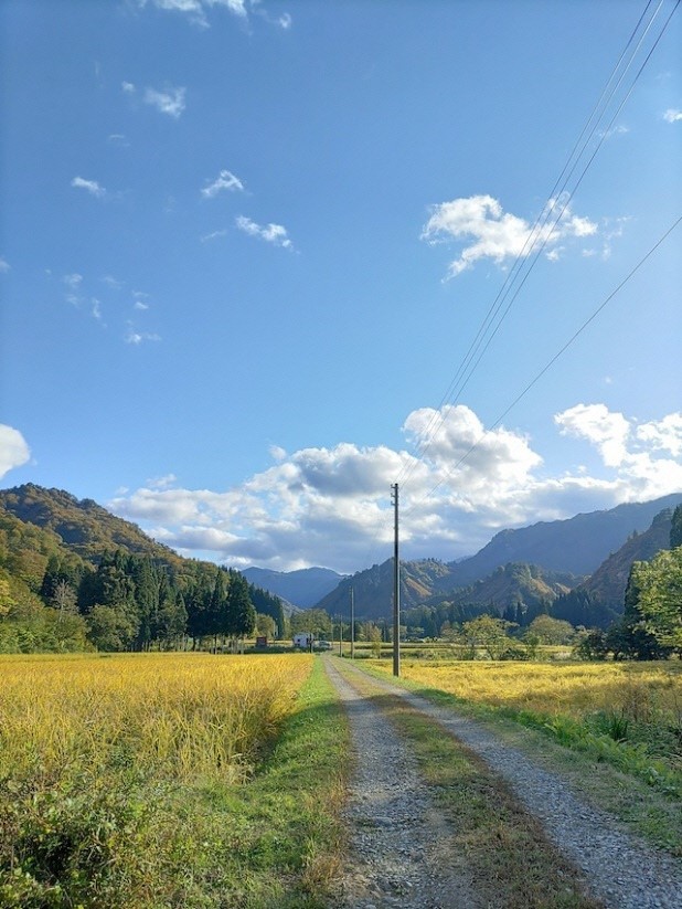 山形県小国町産　雪若丸10kg（5kg×2袋)