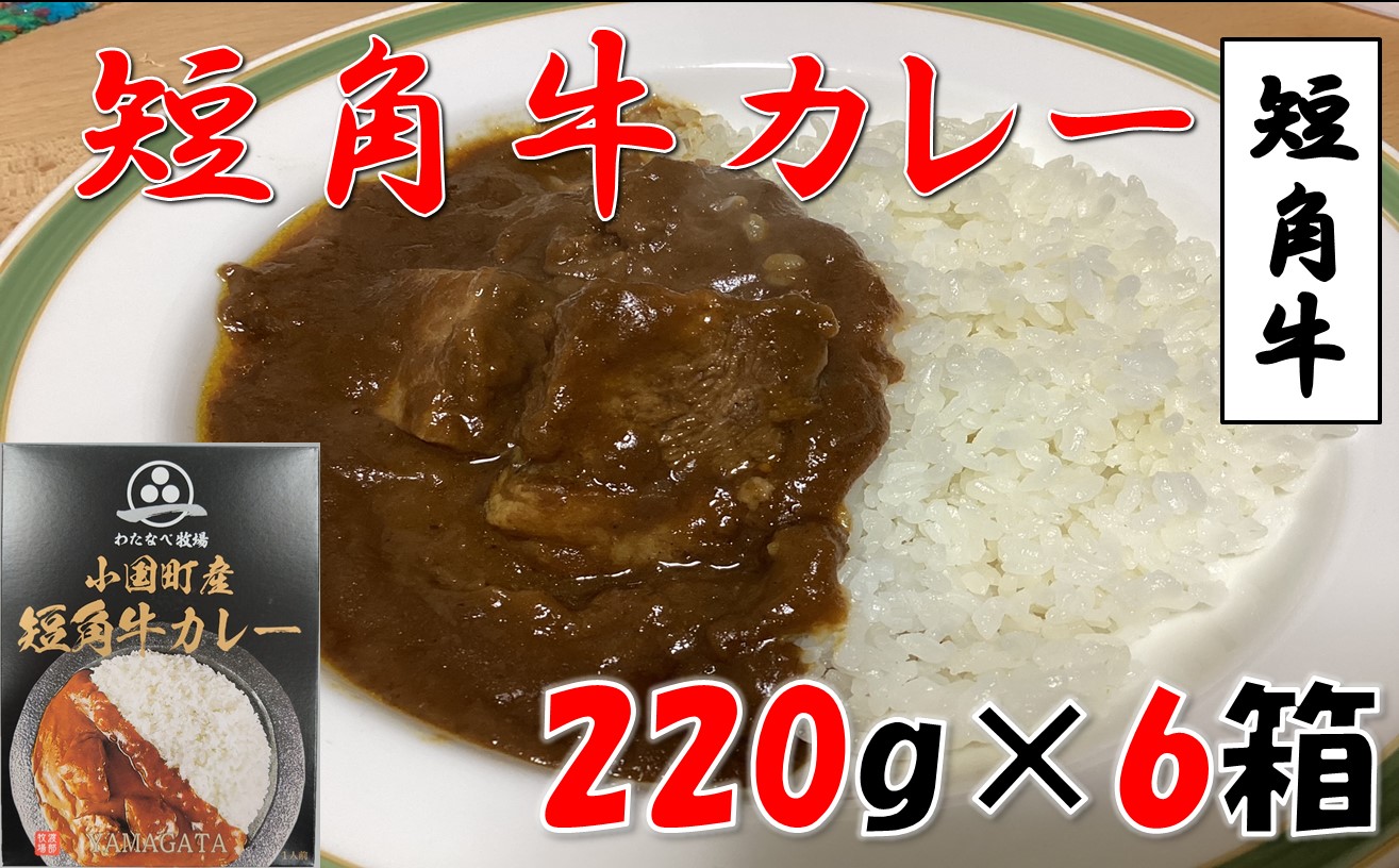 小国短角牛カレー（1人前×6箱）