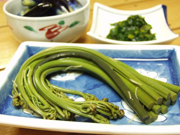 【先行予約】採れたて山菜　あく抜きわらび　200ｇ×4束　限定100