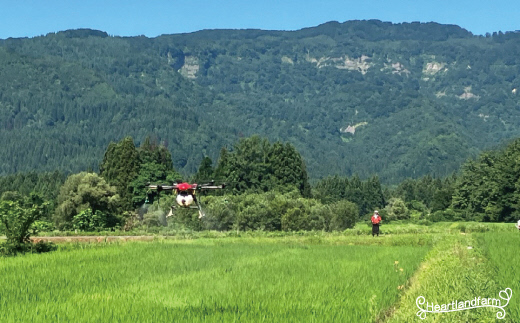 （令和５年産） 山形県小国町産　つや姫 雪若丸 食べ比べセット 4kg（2kg×2袋）