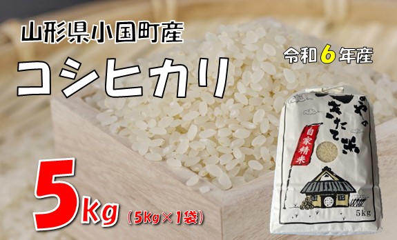 【令和6年産】コシヒカリ5kg　