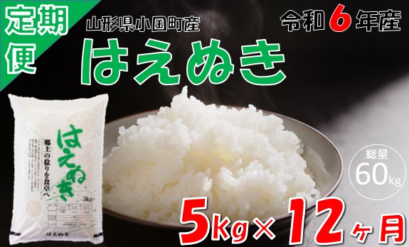 【12回定期便】山形県小国町産 はえぬき5kg