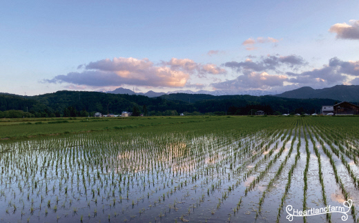 （令和５年産）山形県小国町産 はえぬき5kg