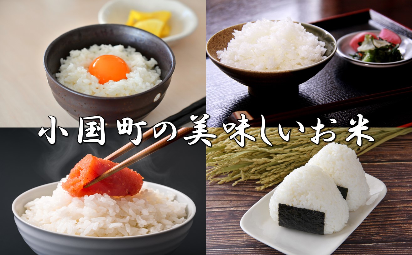 令和5年産　山形県小国町産　山形95号・5kg