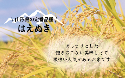 （令和５年産）山形県小国町産 はえぬき5kg