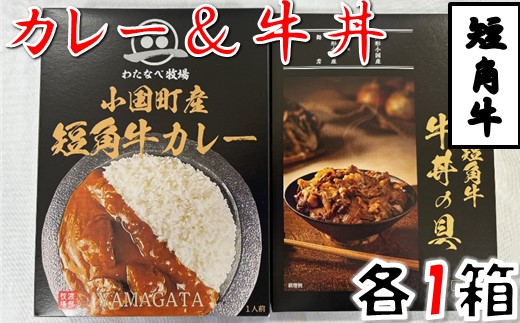 短角牛カレー・短角牛牛丼の具　各1箱　計2箱