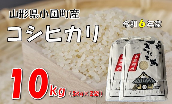 【令和6年産】コシヒカリ10kg（5kg×2袋）　