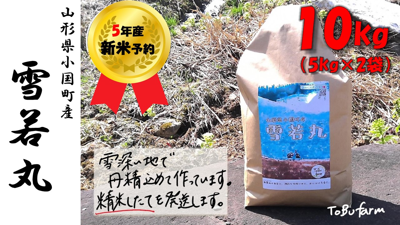 【令和６年新米  先行予約】　山形県小国町産　雪若丸10kg（5kg×2)