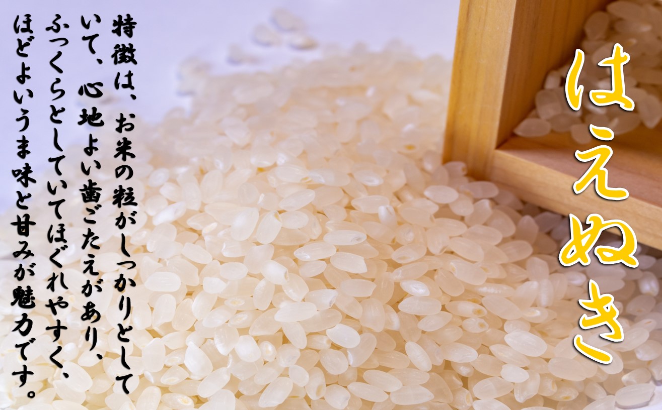 お米食べくらべセット（つや姫、雪若丸、はえぬき）