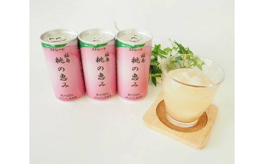 No.150 「福島桃の恵み」40本　果汁100％ジュース ／ モモジュース ストレート もも 福島県 特産品