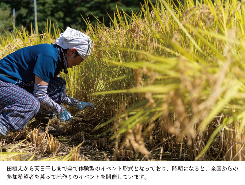 【米】手植え、手刈り、天日干しの三拍子揃った葛尾村産米「里山のつぶ」使い切りサイズ２合×８個セット