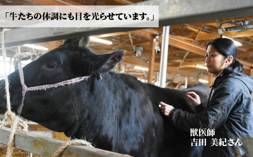 国産黒毛和牛（経産牛3等級以上）「歩（AYUMU）」肩ロース　スライス　 250g（250g×1パック）急速液体冷凍